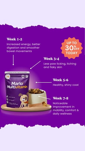 A vertical infographic advertisement outlining the cumulative health benefits of a pet multivitamin product over an eight-week usage period.
